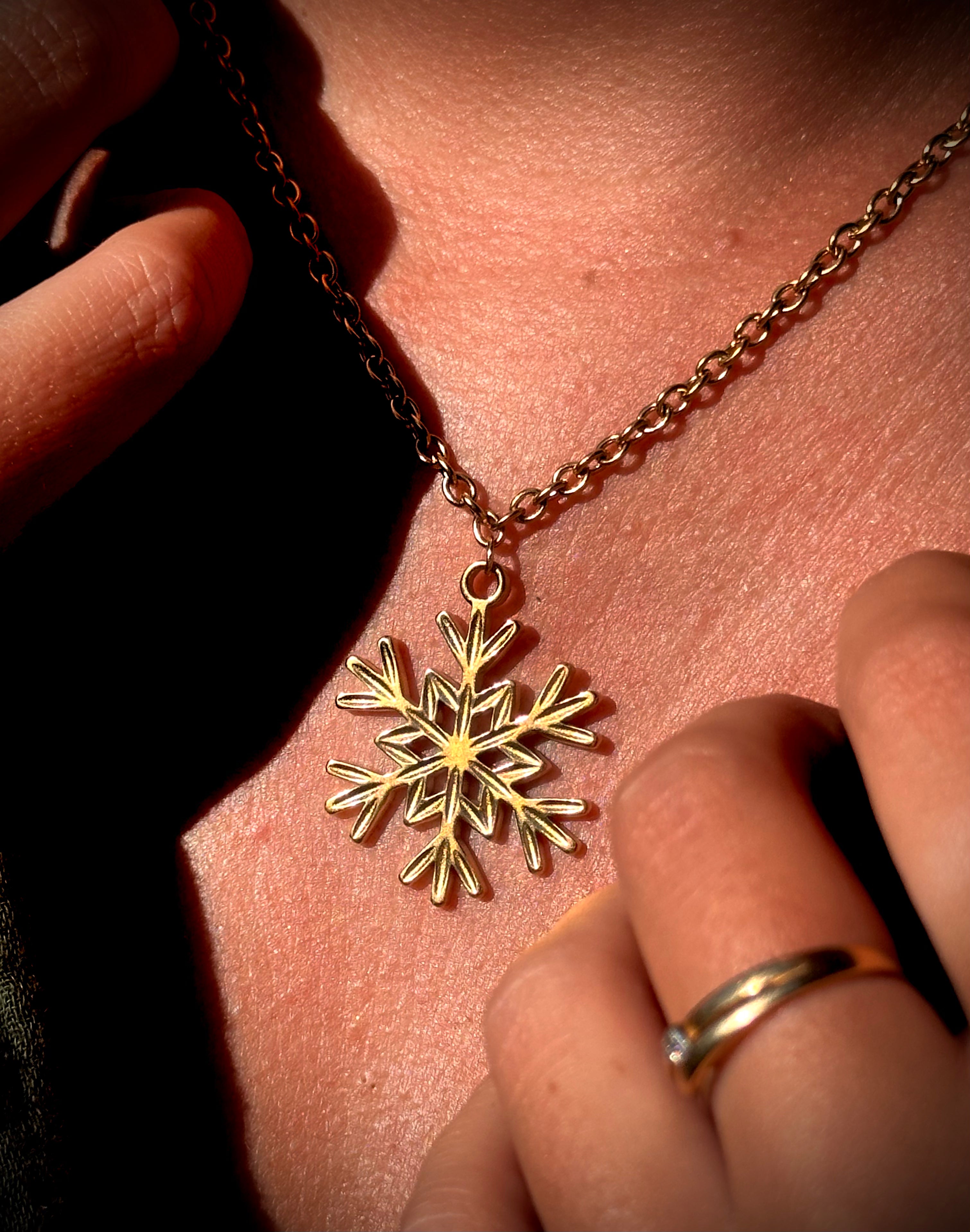 Modèle le charm'alpin